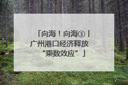 向海！向海③丨广州港口经济释放“乘数效应”