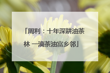 周利：十年深耕油茶林 一滴茶油富乡邻