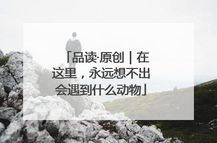 品读·原创｜在这里，永远想不出会遇到什么动物
