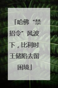 哈佛“禁招令”风波下，比利时王储陷去留困境