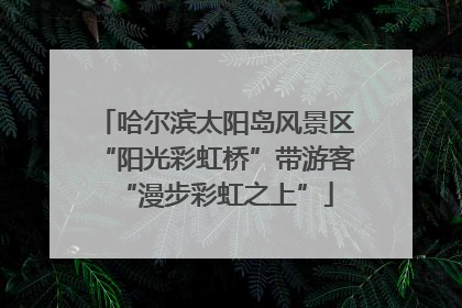 哈尔滨太阳岛风景区“阳光彩虹桥”带游客“漫步彩虹之上”