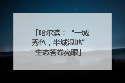 哈尔滨：“一城秀色，半城湿地”生态答卷亮眼