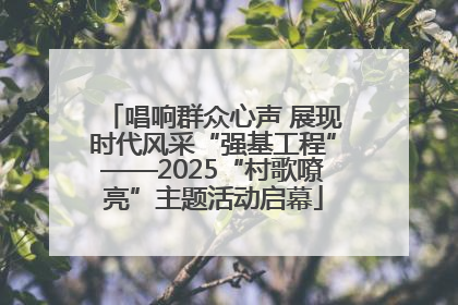 唱响群众心声 展现时代风采“强基工程”——2025“村歌嘹亮”主题活动启幕