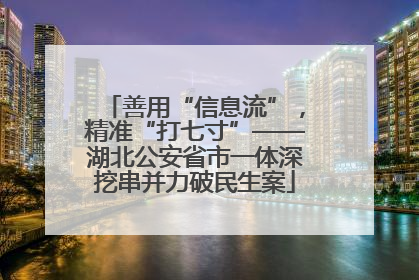 善用“信息流”，精准“打七寸”——湖北公安省市一体深挖串并力破民生案