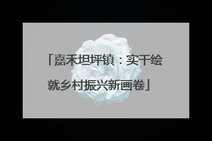 嘉禾坦坪镇：实干绘就乡村振兴新画卷
