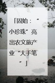 固始：“小珍珠”亮出农文旅产业“大手笔”