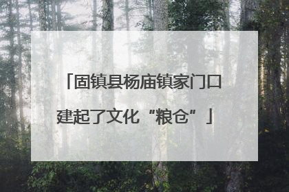 固镇县杨庙镇家门口建起了文化“粮仓”