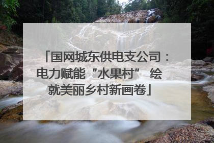国网城东供电支公司：电力赋能“水果村” 绘就美丽乡村新画卷
