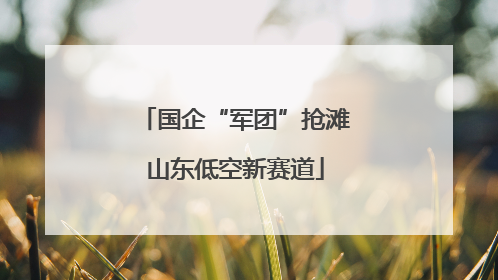 国企“军团”抢滩山东低空新赛道