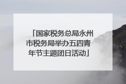 国家税务总局永州市税务局举办五四青年节主题团日活动