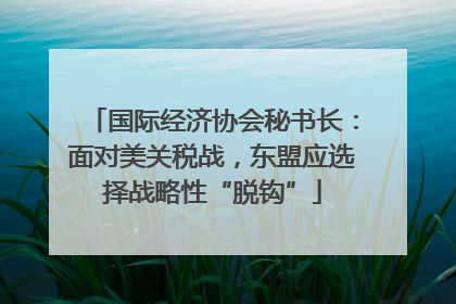 国际经济协会秘书长：面对美关税战，东盟应选择战略性“脱钩”