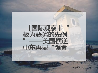 国际观察丨“极为恶劣的先例”——美国横逆中东再显“强食弱肉”本性