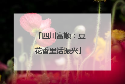 四川富顺：豆花香里话振兴