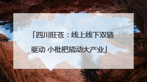 四川旺苍：线上线下双链驱动 小枇杷撬动大产业