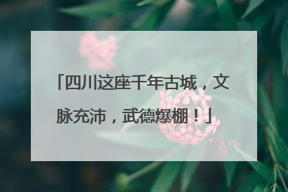 四川这座千年古城，文脉充沛，武德爆棚！