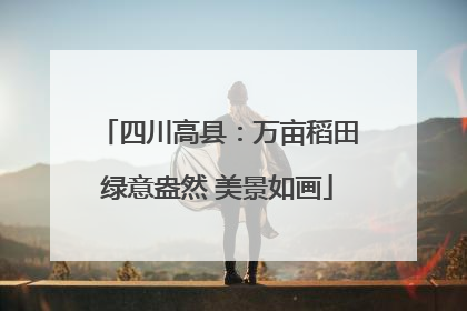四川高县：万亩稻田绿意盎然 美景如画
