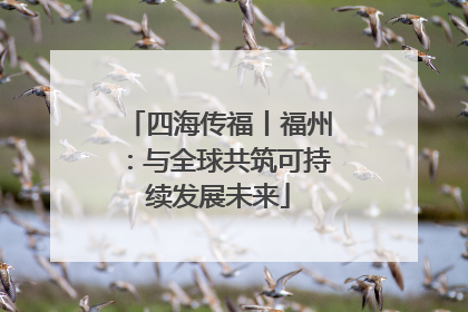 四海传福丨福州：与全球共筑可持续发展未来