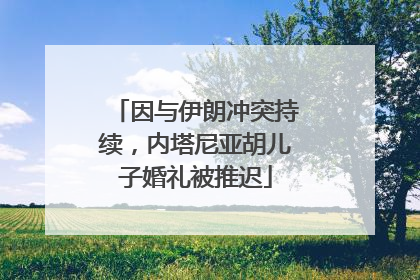 因与伊朗冲突持续，内塔尼亚胡儿子婚礼被推迟