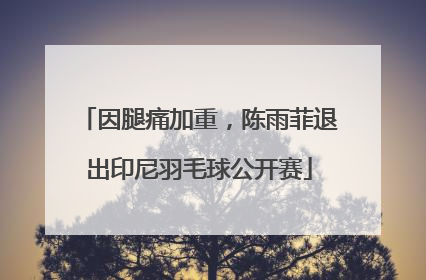 因腿痛加重，陈雨菲退出印尼羽毛球公开赛