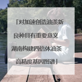 对加速创造油茶新良种具有重要意义 湖南构建四倍体油茶高精度基因图谱