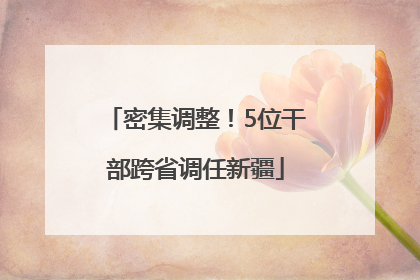 密集调整！5位干部跨省调任新疆