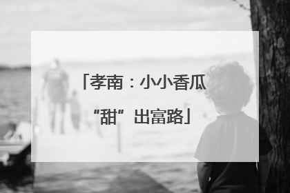 孝南：小小香瓜 “甜”出富路