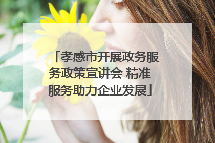 孝感市开展政务服务政策宣讲会 精准服务助力企业发展