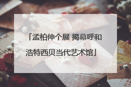 孟柏伸个展 揭幕呼和浩特西贝当代艺术馆