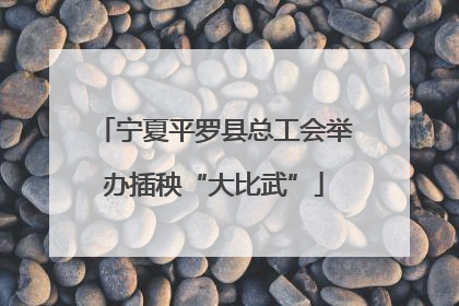 宁夏平罗县总工会举办插秧“大比武”