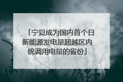 宁夏成为国内首个日新能源发电量超越区内统调用电量的省份