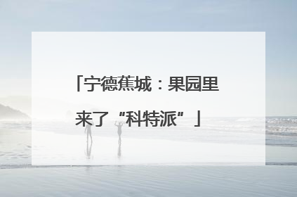 宁德蕉城：果园里来了“科特派”