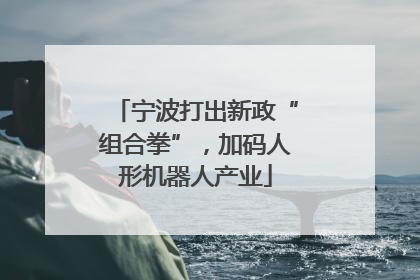 宁波打出新政“组合拳”，加码人形机器人产业
