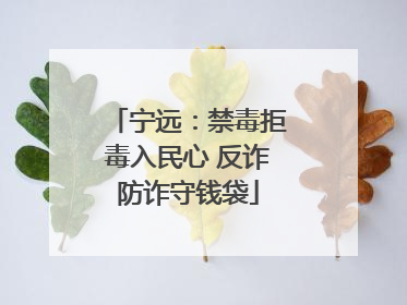 宁远：禁毒拒毒入民心 反诈防诈守钱袋