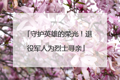 守护英雄的荣光！退役军人为烈士寻亲