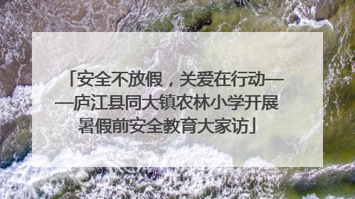 安全不放假，关爱在行动——庐江县同大镇农林小学开展暑假前安全教育大家访