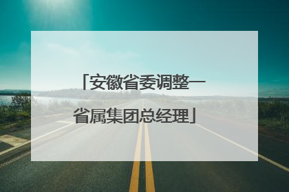 安徽省委调整一省属集团总经理