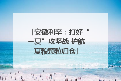 安徽利辛：打好“三夏”攻坚战 护航夏粮颗粒归仓