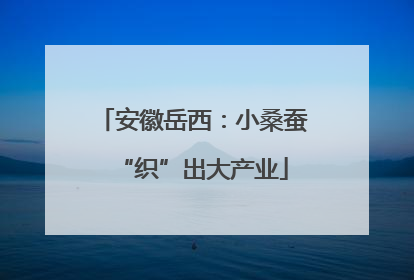 安徽岳西：小桑蚕“织”出大产业