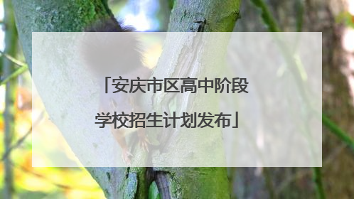 安庆市区高中阶段学校招生计划发布