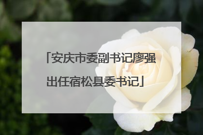安庆市委副书记廖强出任宿松县委书记