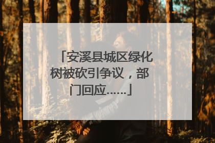 安溪县城区绿化树被砍引争议，部门回应……