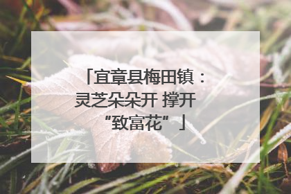 宜章县梅田镇：灵芝朵朵开 撑开“致富花”