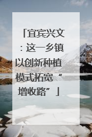 宜宾兴文：这一乡镇以创新种植模式拓宽“增收路”