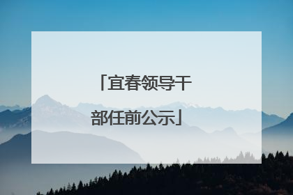 宜春领导干部任前公示