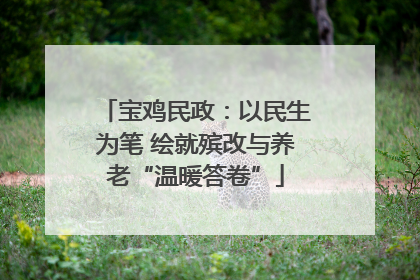 宝鸡民政：以民生为笔 绘就殡改与养老“温暖答卷”