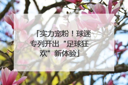 实力宠粉！球迷专列开出“足球狂欢”新体验