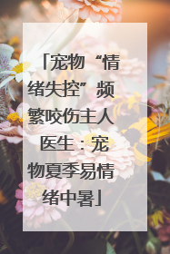 宠物“情绪失控”频繁咬伤主人 医生：宠物夏季易情绪中暑