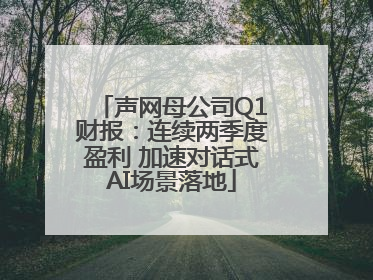 声网母公司Q1财报：连续两季度盈利 加速对话式AI场景落地