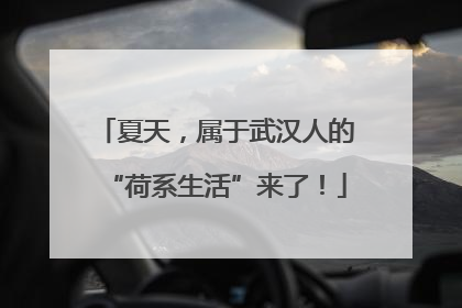 夏天，属于武汉人的“荷系生活”来了！