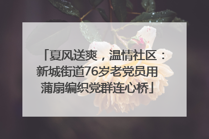 夏风送爽，温情社区：新城街道76岁老党员用蒲扇编织党群连心桥